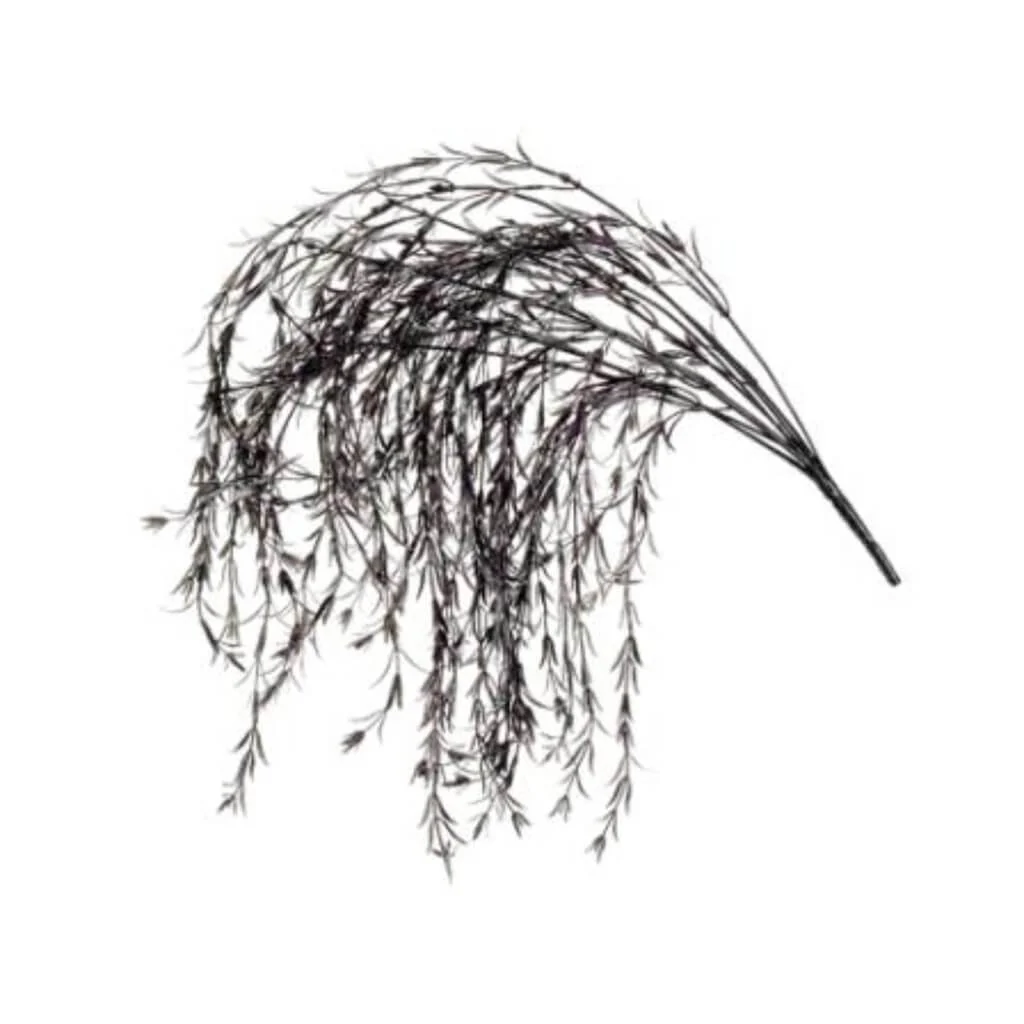 Glitter Willow Bush X11