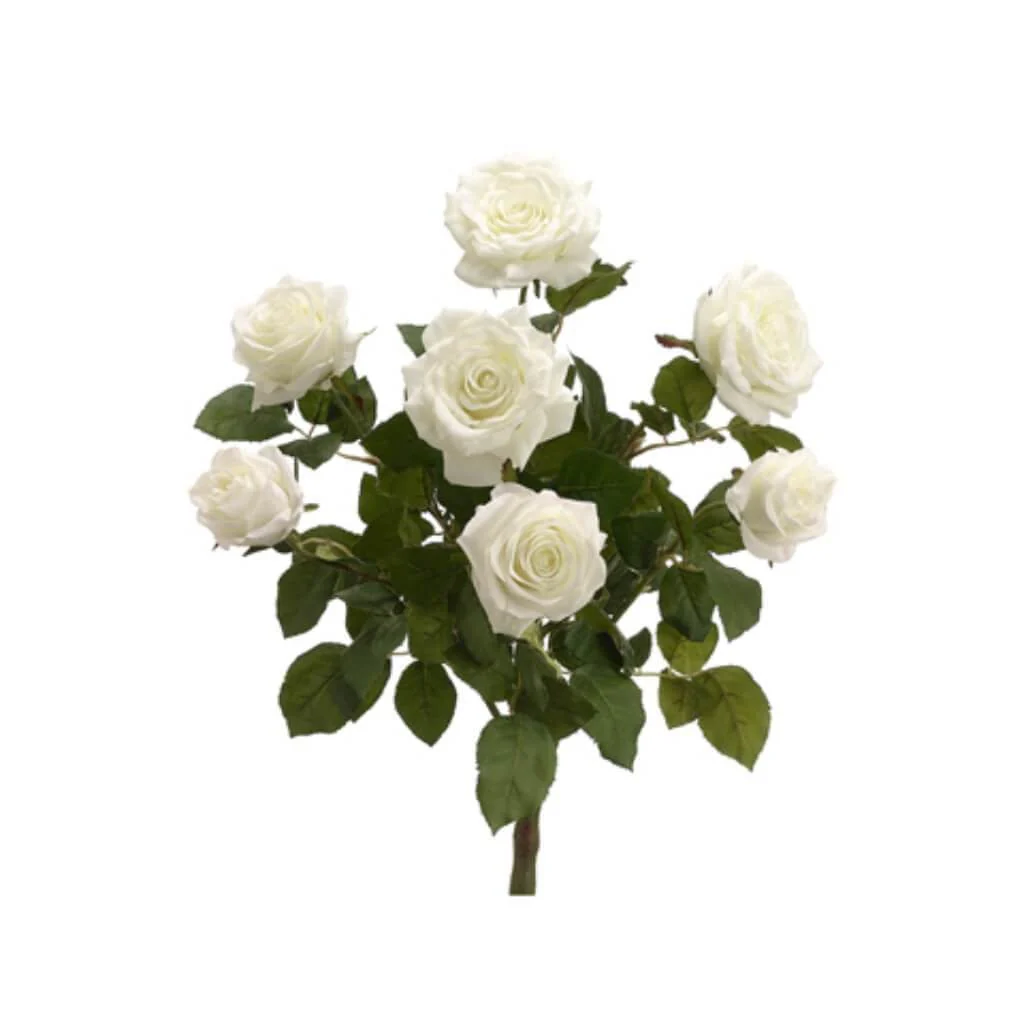 21.5"Conf.Rose Bush X7 Cr