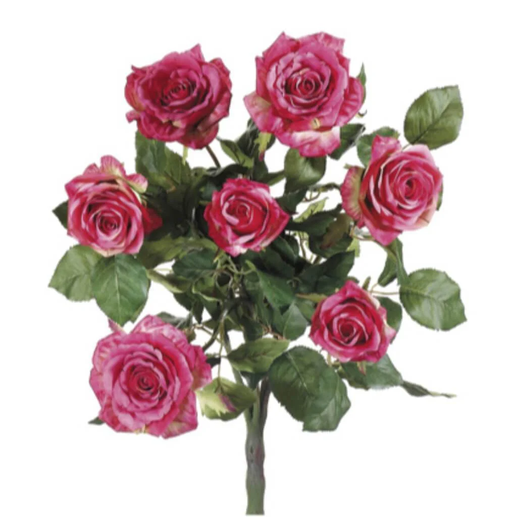 21.5"Conf.Rose Bush X7 Ro/Tt