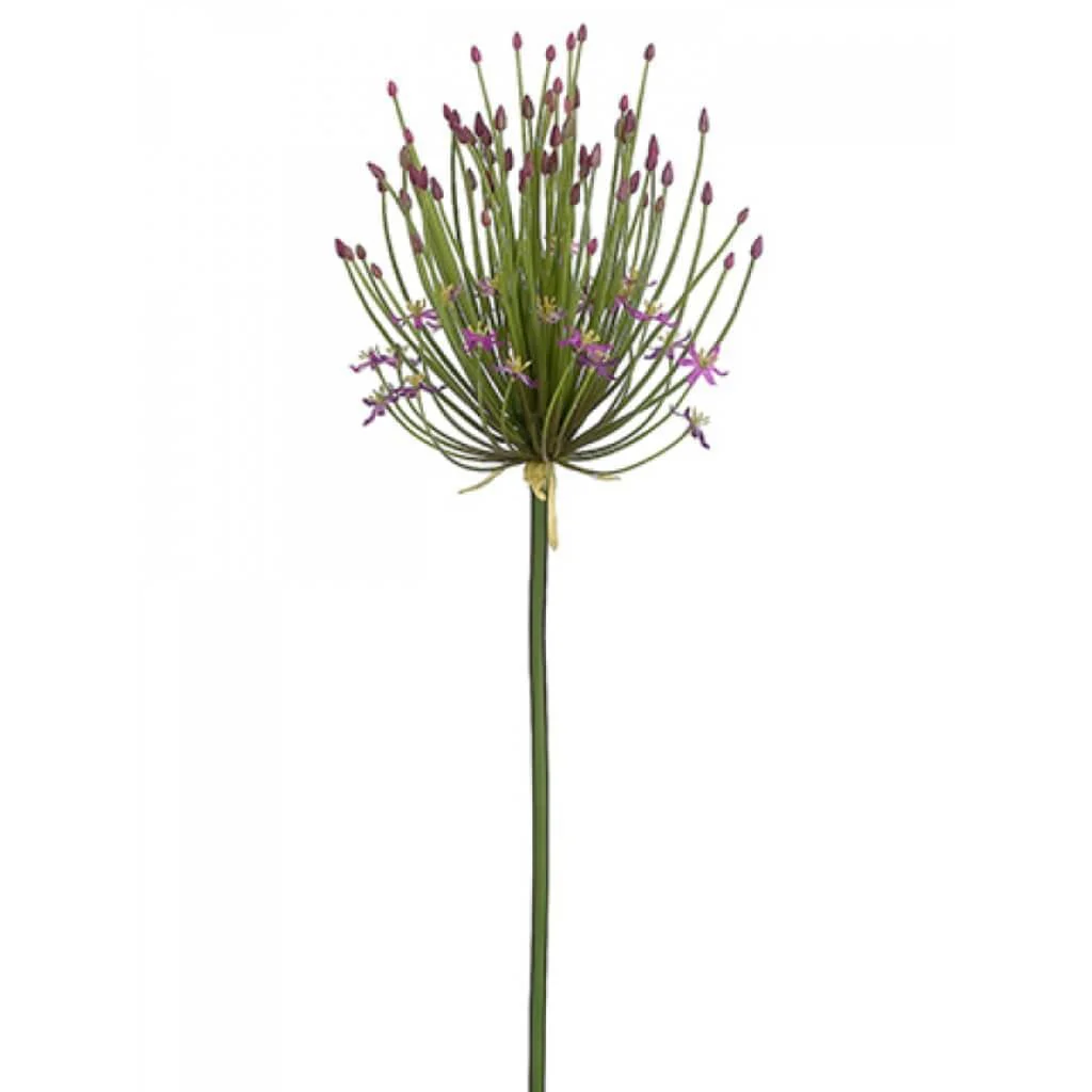 SPIDER ALLIUM SPRAY 40" PURPLE