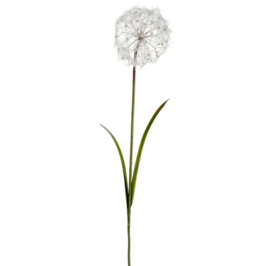48"Dandelion Spray Cr F