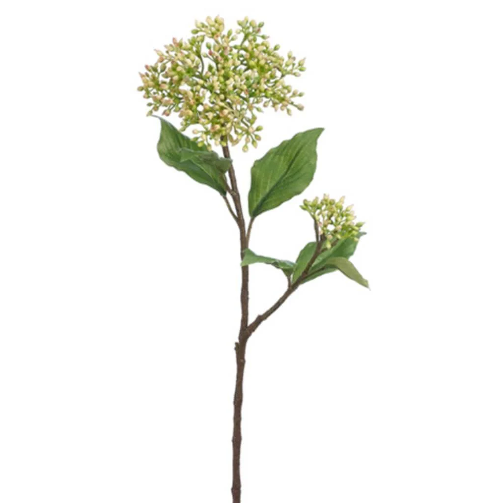 Dogwood Seed Spray 20" Green Cream