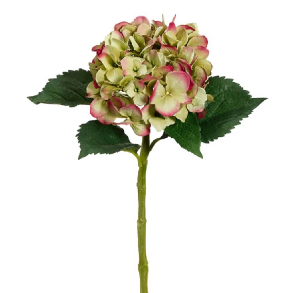 LG SINGLE HYDRANGEA SPRAY 19" GREEN FUSCHIA