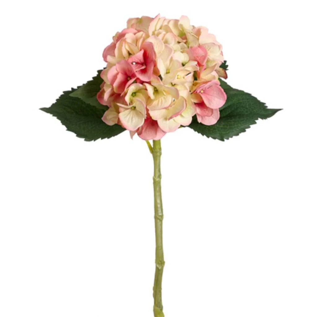 LARGE SINGLE HYDRANGEA SPRAY 19" PINK CREAM