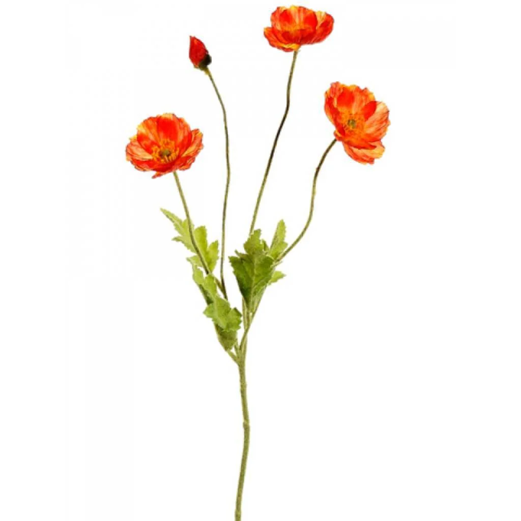 POPPY SPRAY 23.6" FLAME