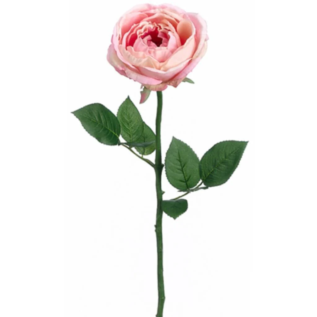 Garden Cabb.Rose Spray 23" Peach Cream