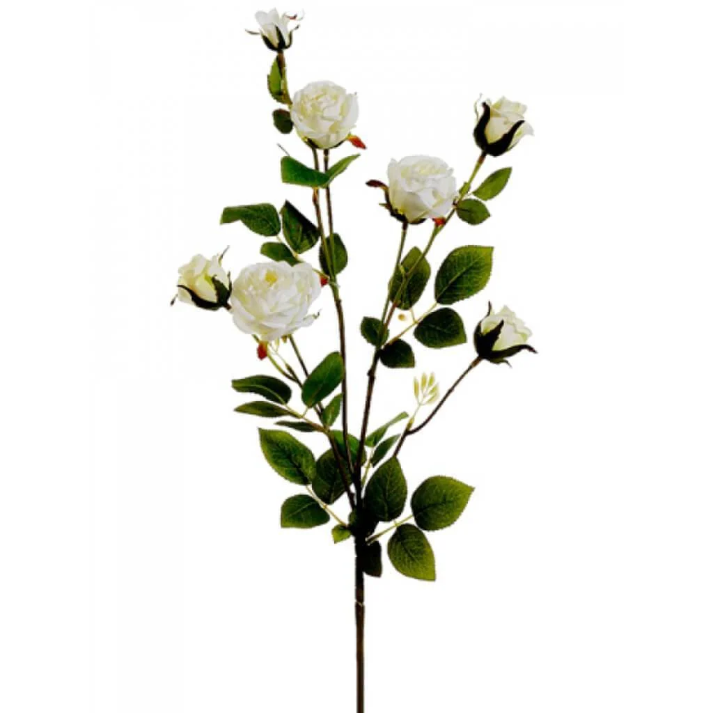 28.7"Rose Spray Cream