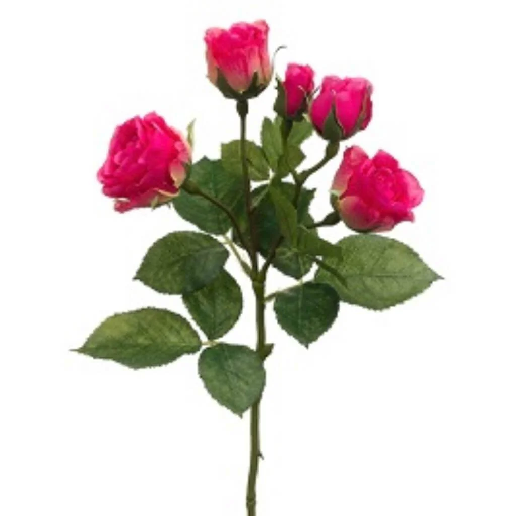 Cabbage Rose Spray 15.5" Beauty