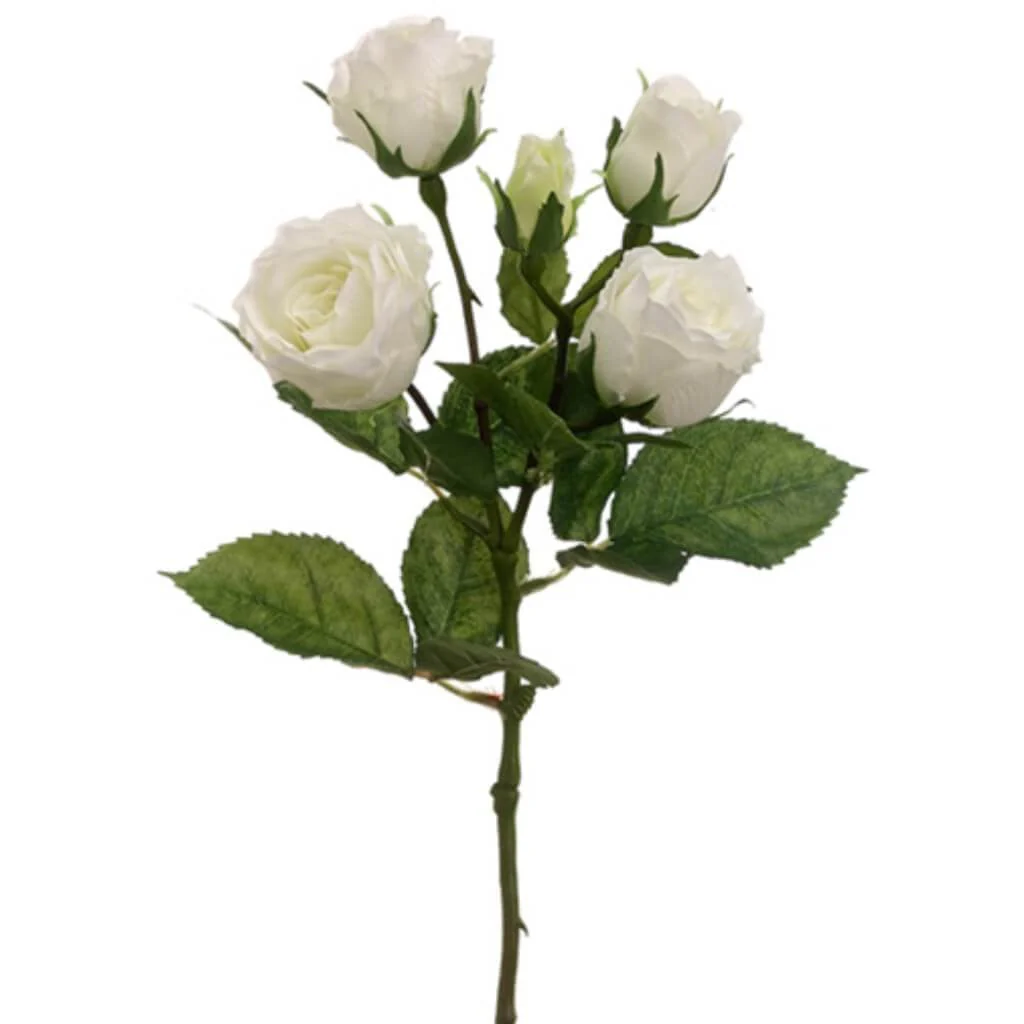 Cabbage Rose Spray 15.5" White