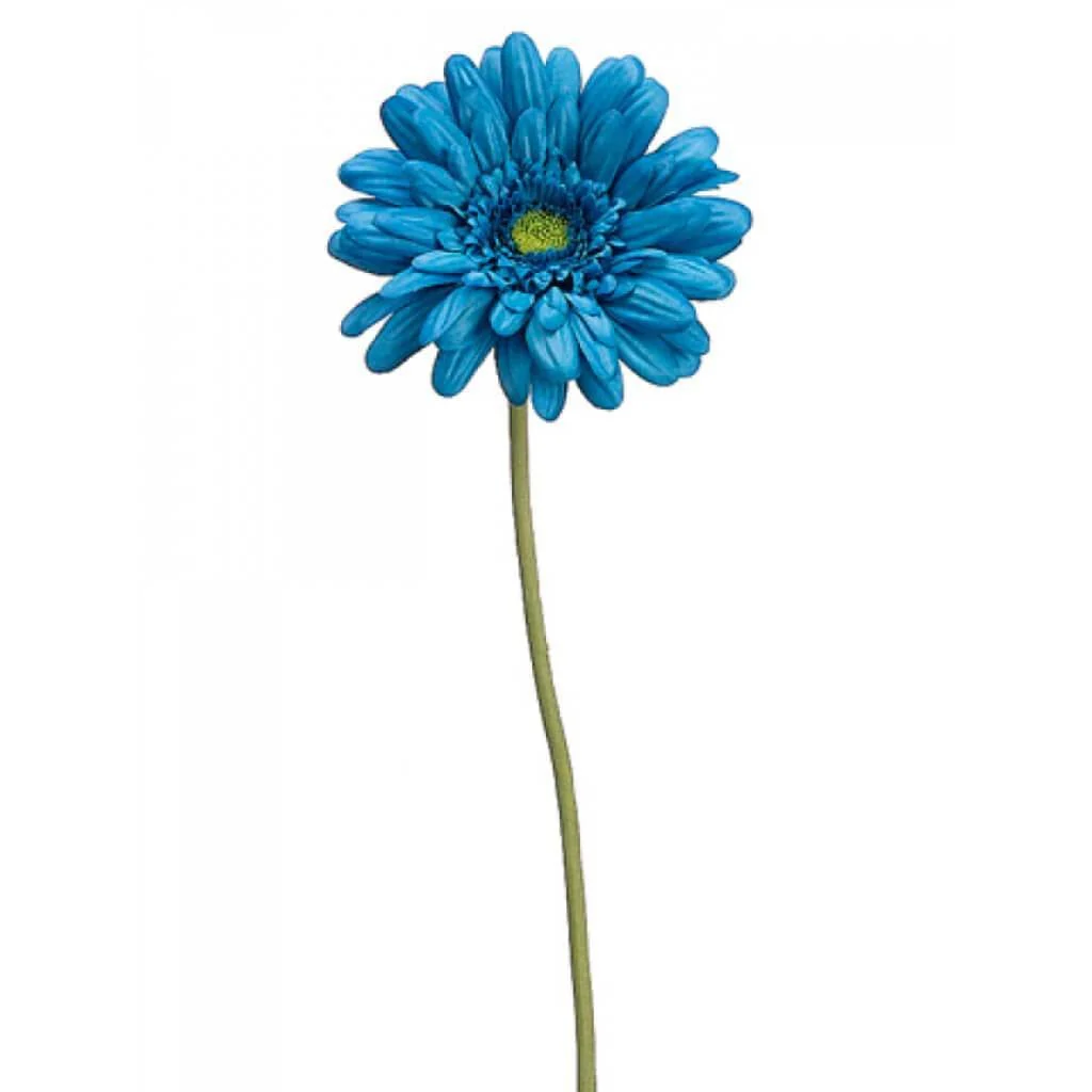 MD GERBERA DAISY SPRAY 21.5" TURQUOISE