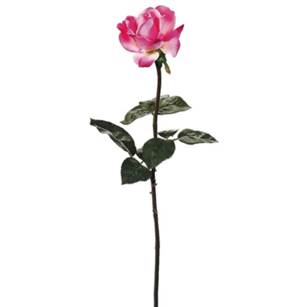 27in Real Touch Caroline Rose Spray Beauty