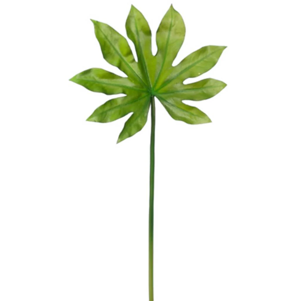 Baby Aralia Leaf Spray 19.25in Green