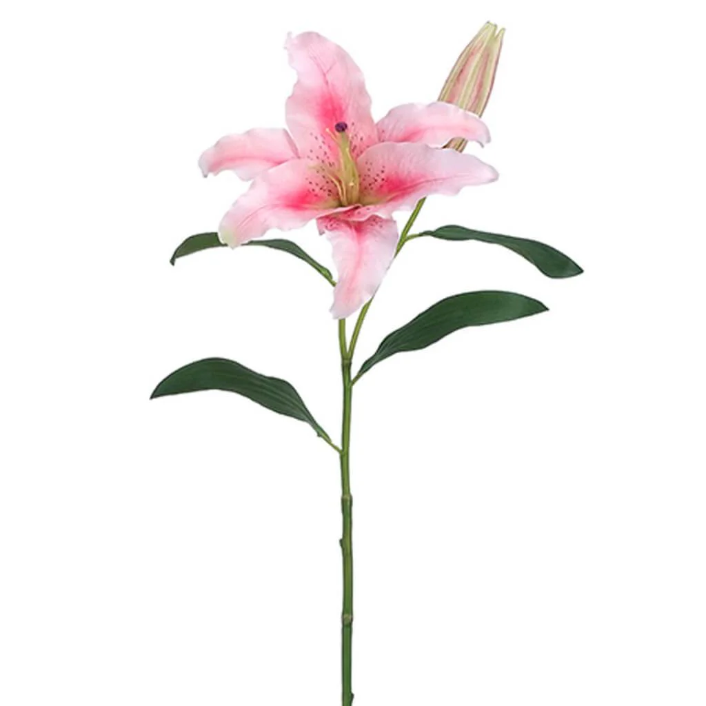 CASABLANCA LILY SPRAY 28in PINK