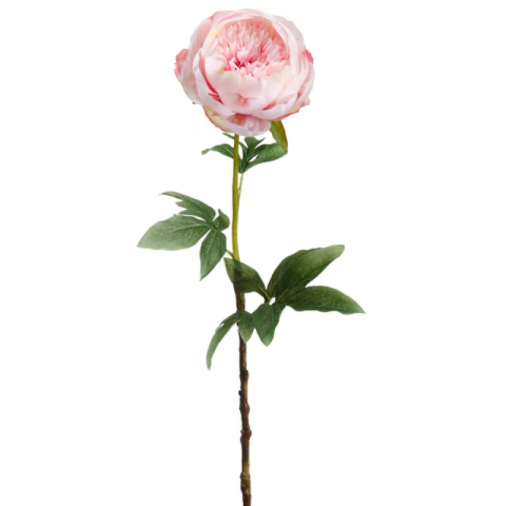 Peony Spray 24in Pink
