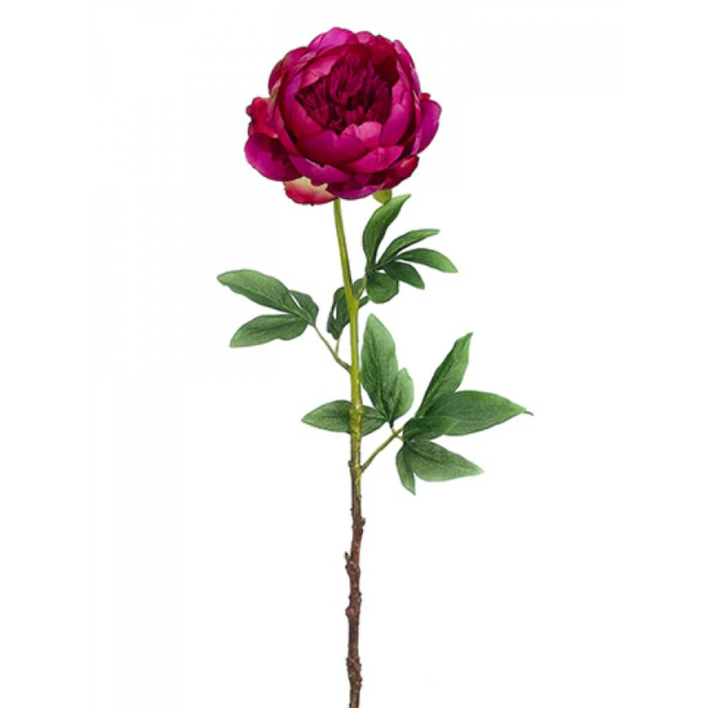 PEONY SPRAY 24" RUBY