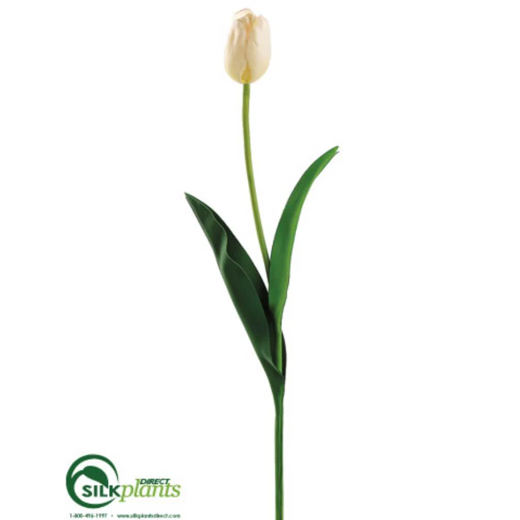 French Tulip Spray 30" Wm