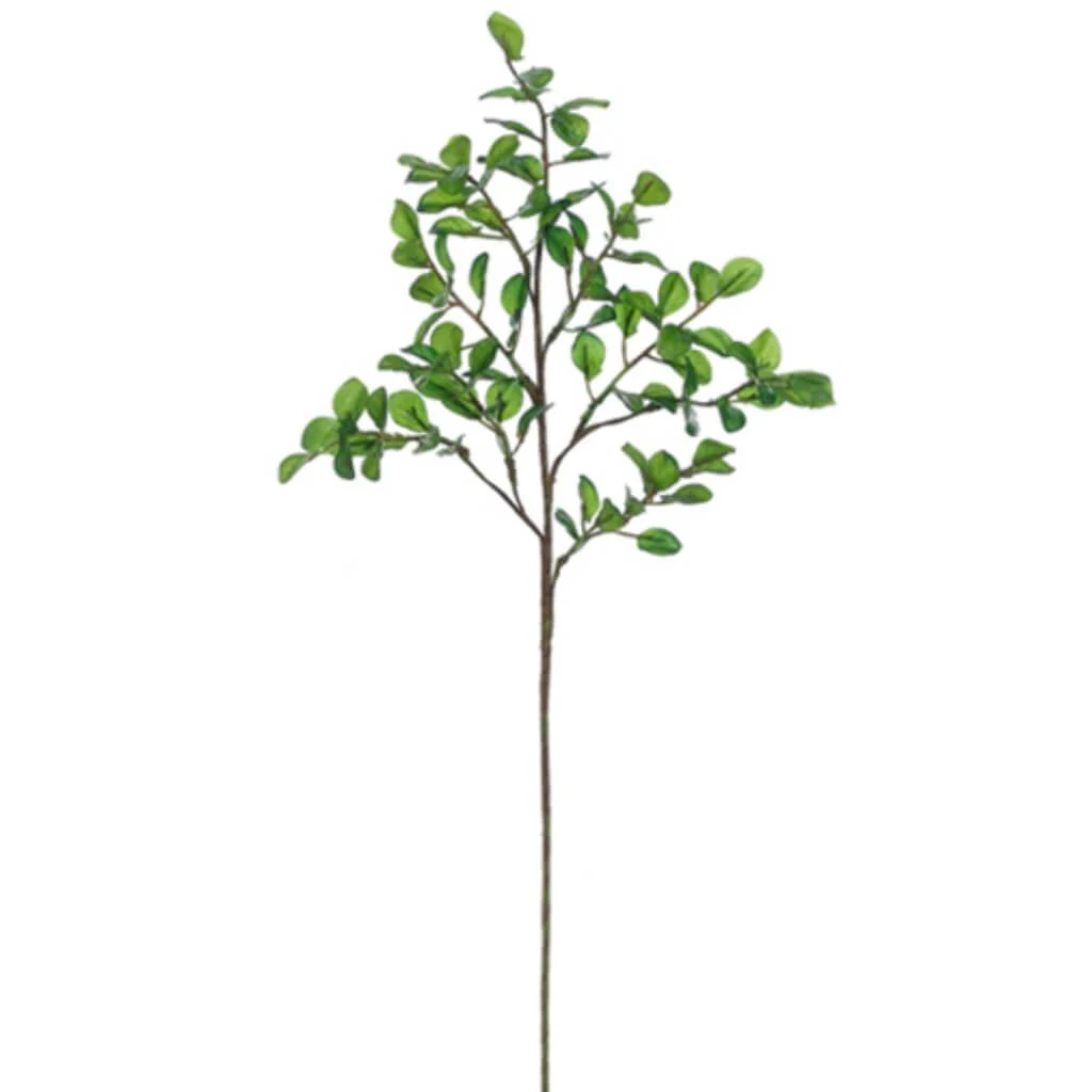 BUTTON LEAF SPRAY 22" GREEN