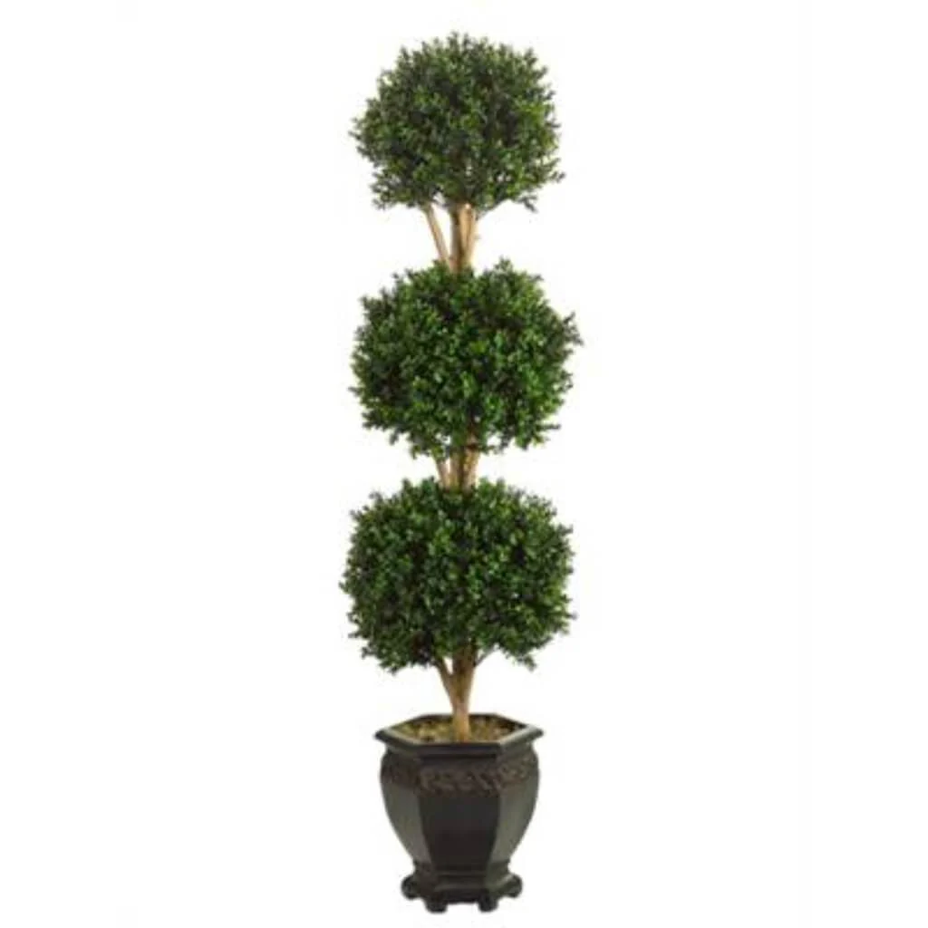 Triple Ball Boxwood 5ft Topiary in Pot Green