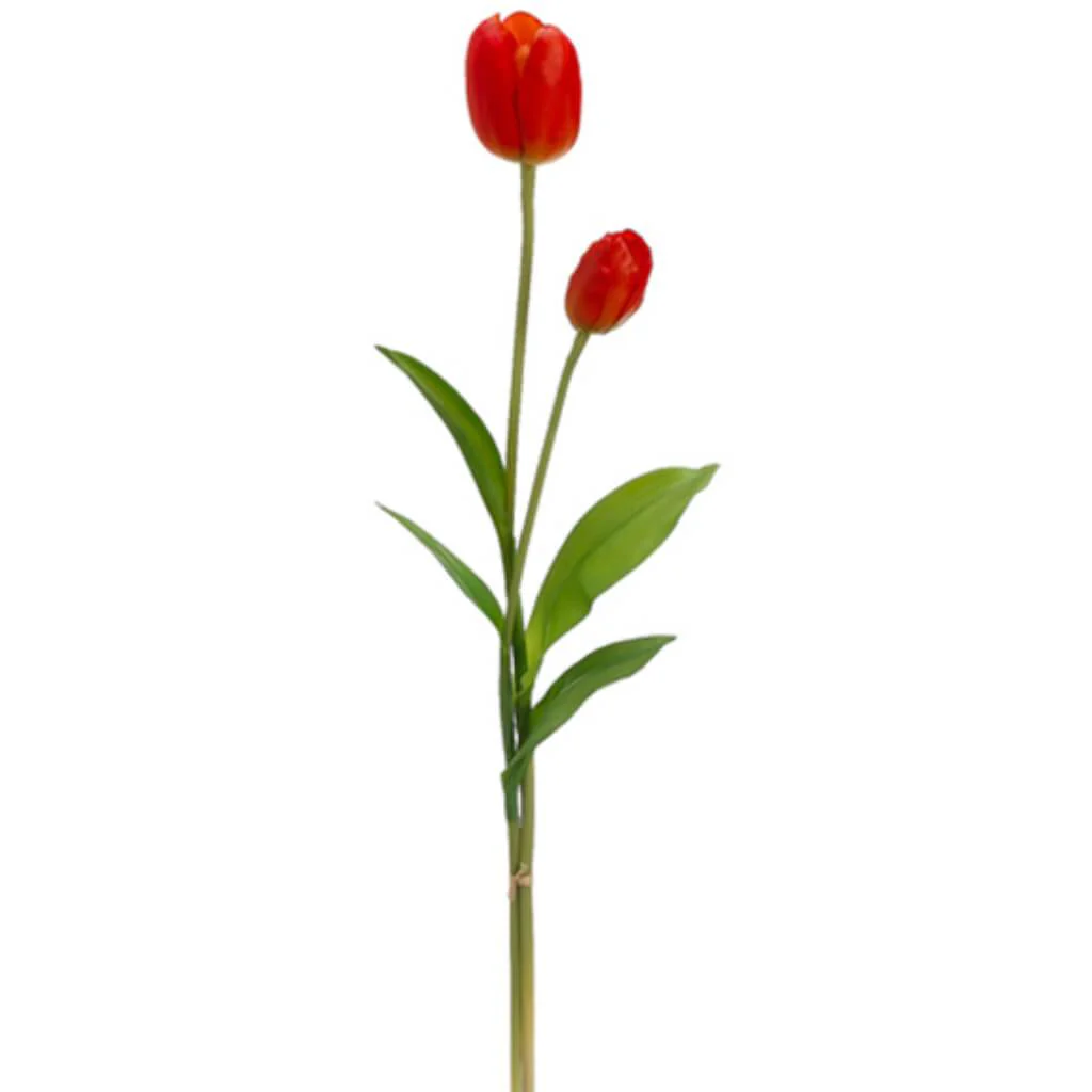 Assorted Tulip Spray 20in & 24in Orange