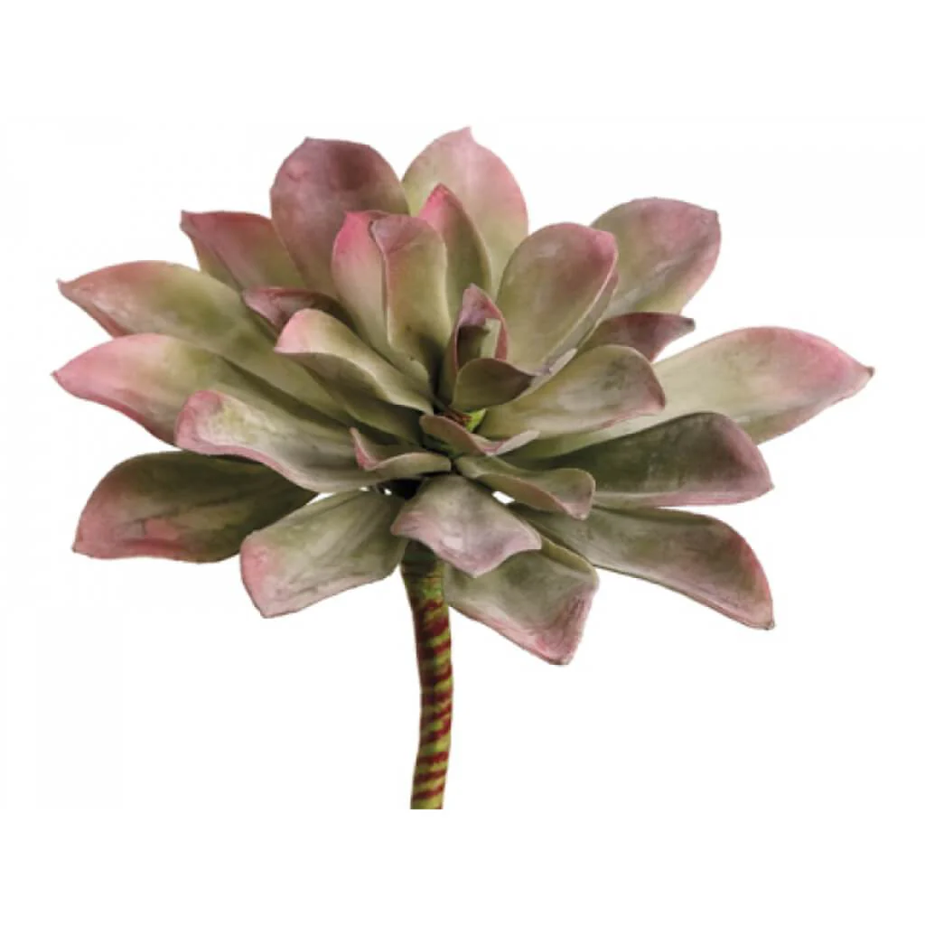 CHEVERIA PICK GR/MV 7in