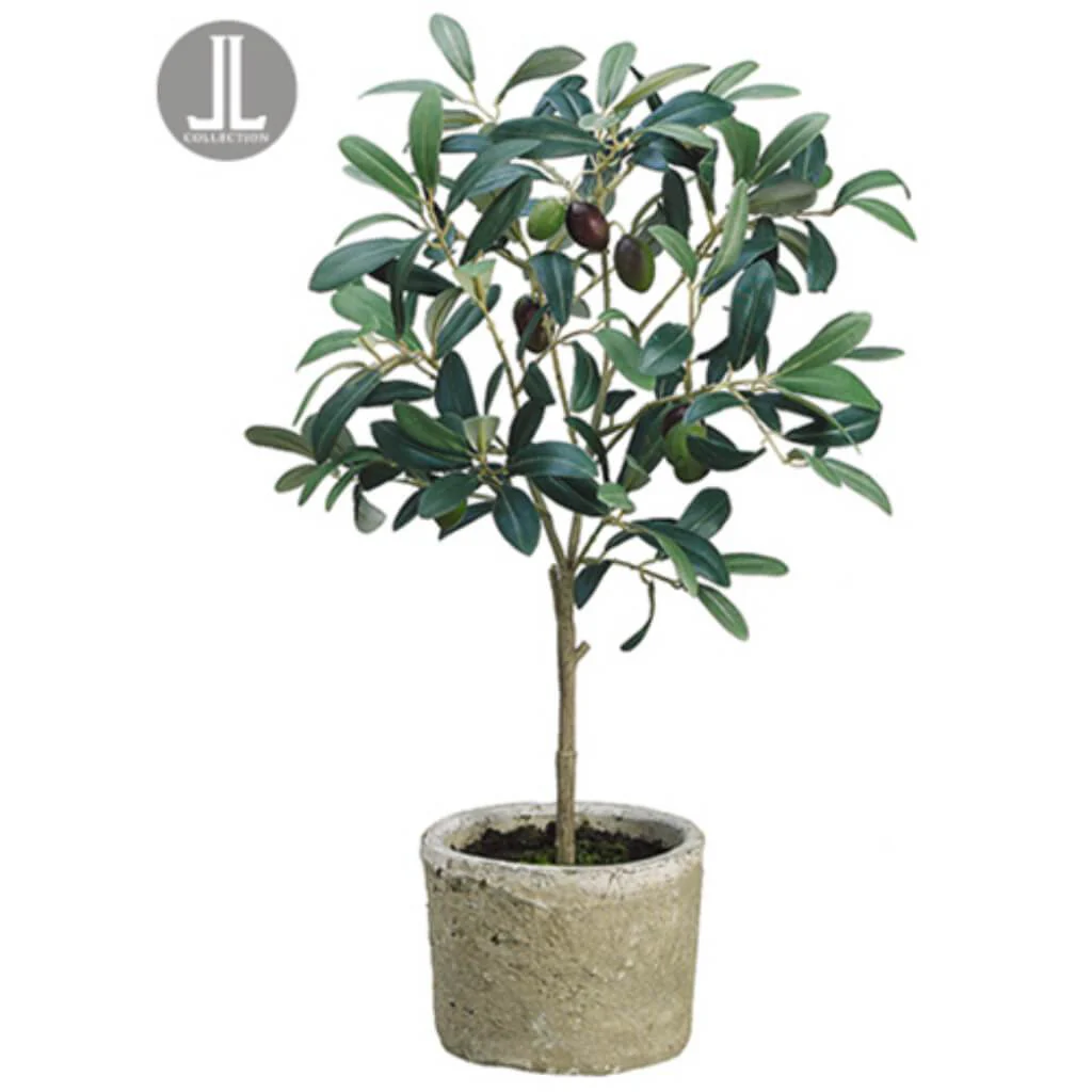 Olive Tree in Pot 19.5in Green Burgundy