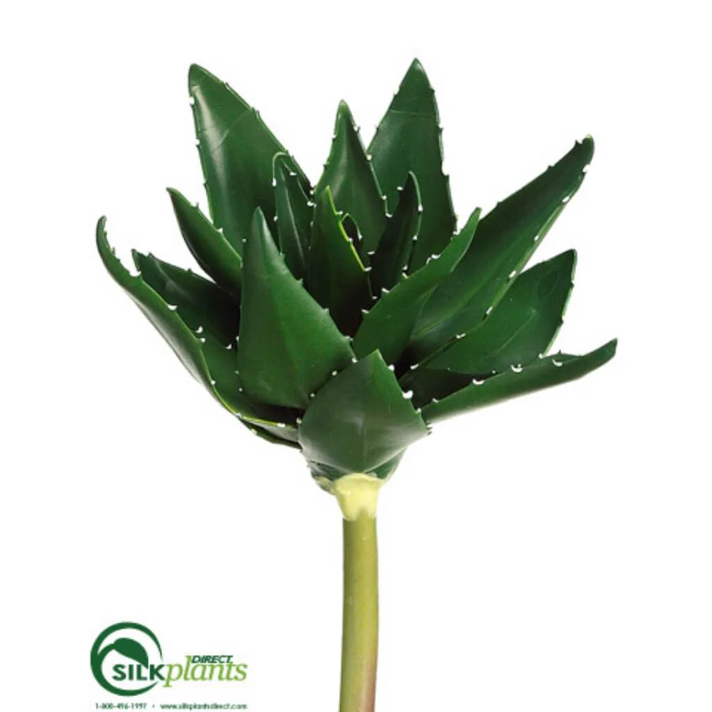 EVA ALOE PLANT GR 8.2"