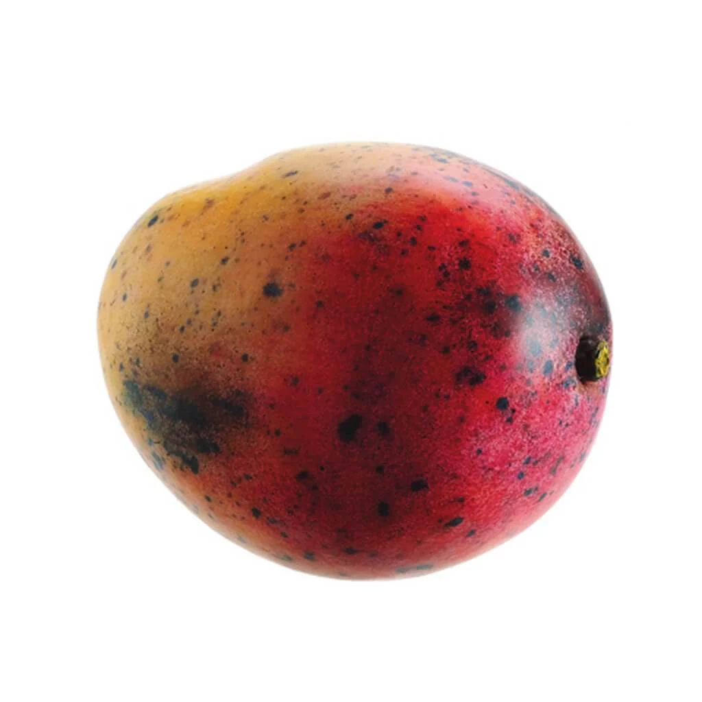 Weighted Mango 5" Red Yellow
