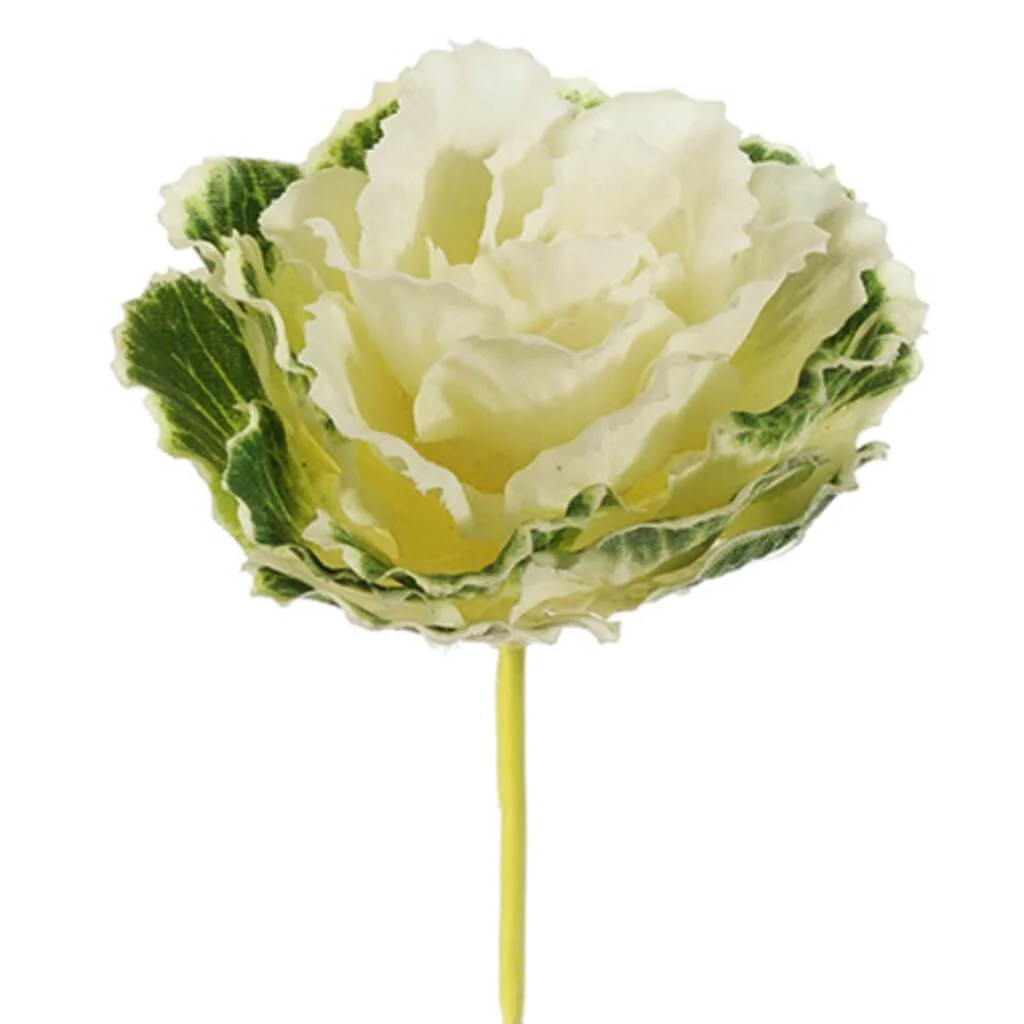 Cabbage Pick Cream Green