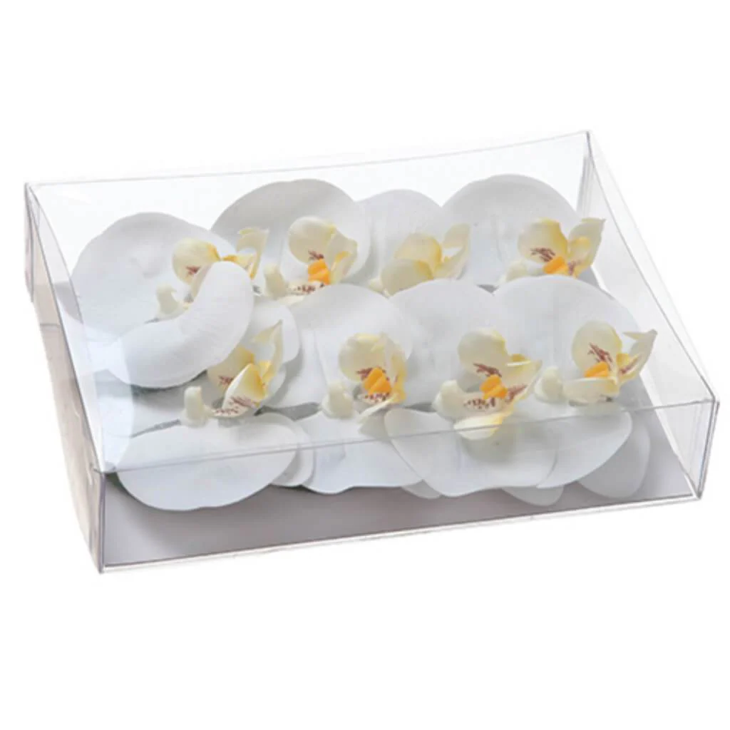 Float Phal.Head 1.5inH x 5inW x 7inL