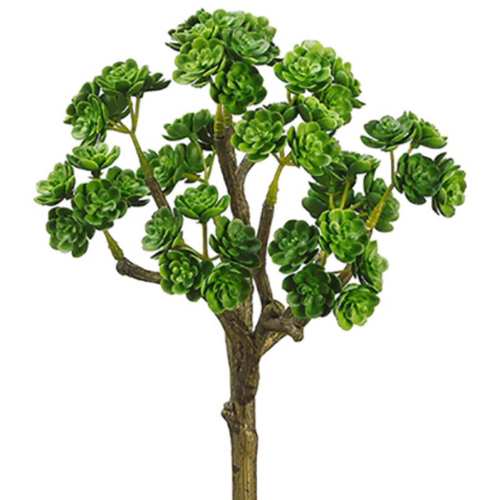 Sedum Bush 10in Green