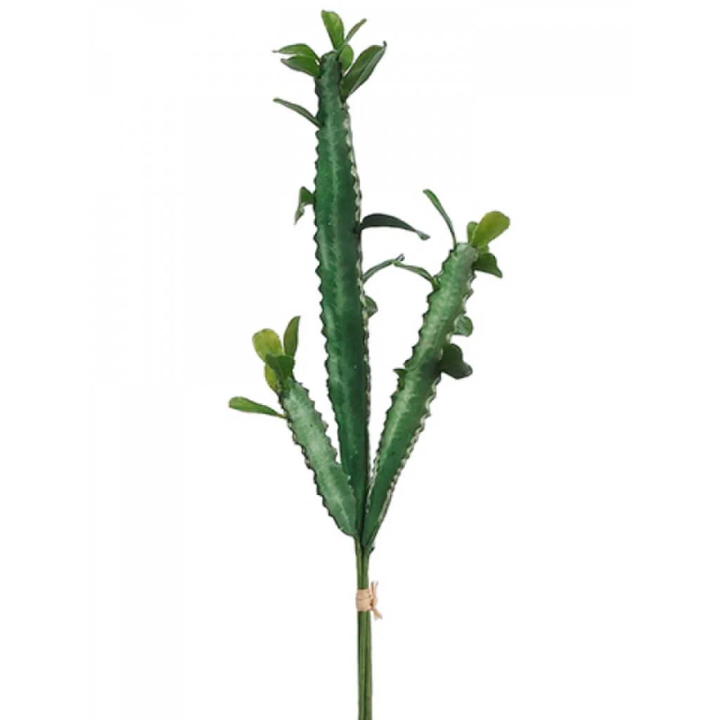Cactus Bundle 14.5" x3