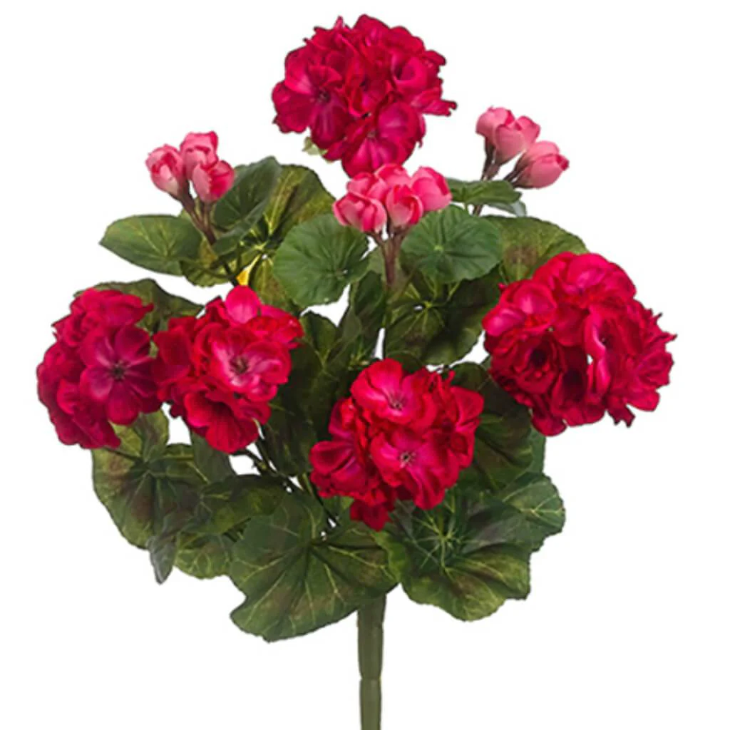 GERANIUM BUSH 13in X8