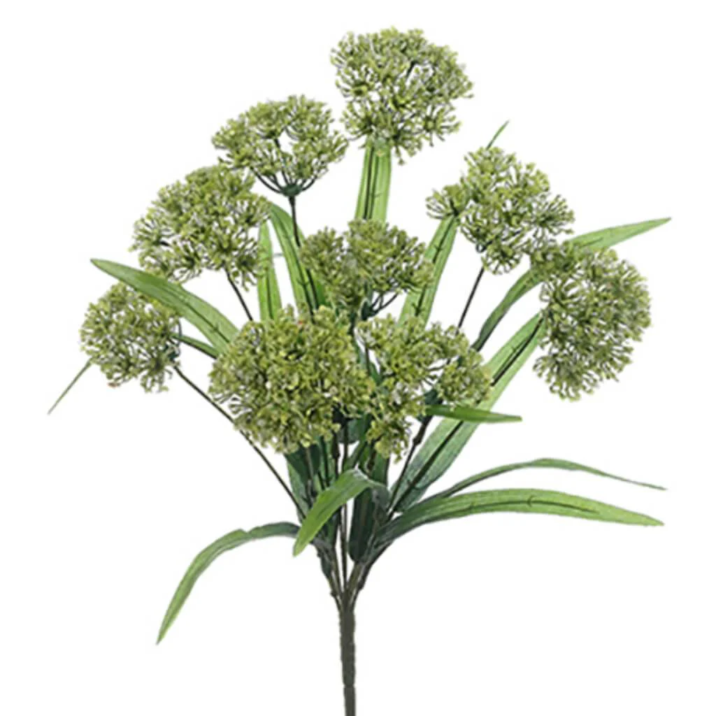 QUEEN ANNE'S LACE BUSH 18in X9