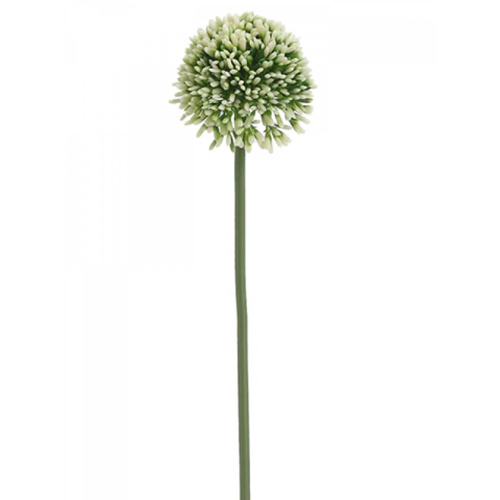 ALLIUM SPRAY 17.5" CREAM GREEN