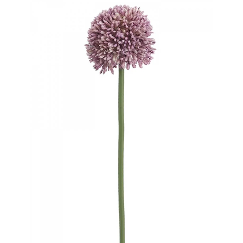 Allium Spray 17.5" Lavender