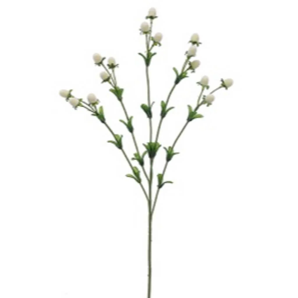 24"CURRANT SPRAY IV
