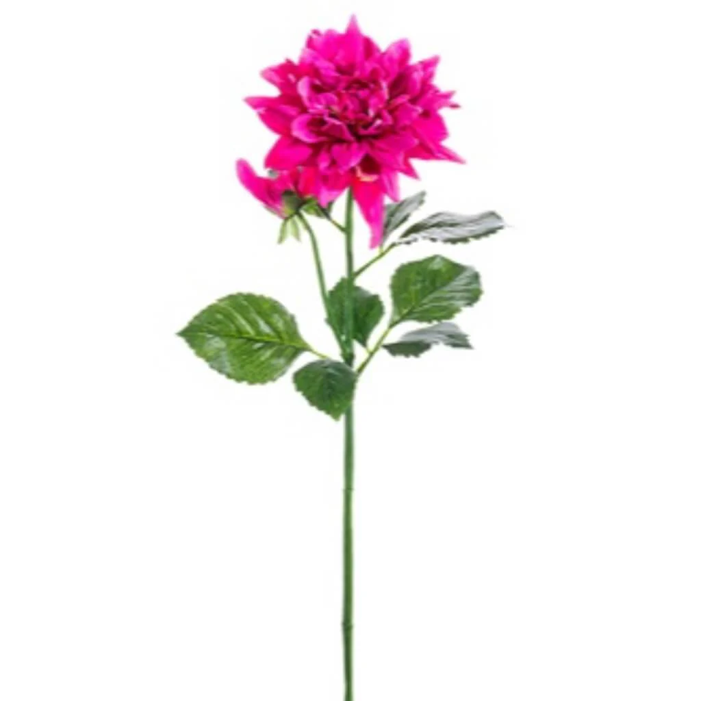 DAHLIA SPRAY 29IN FUSCHIA