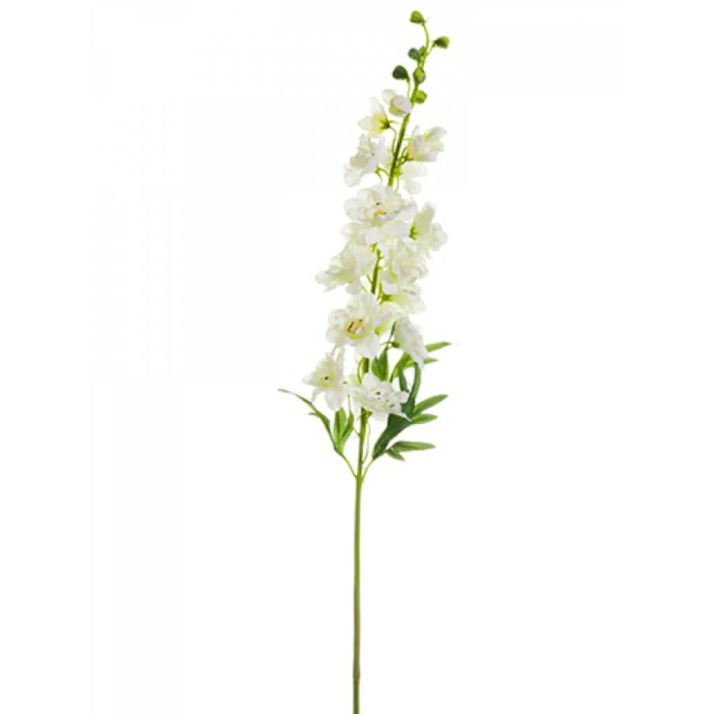 DELPHINIUM SPRAY 36.5in  Cream