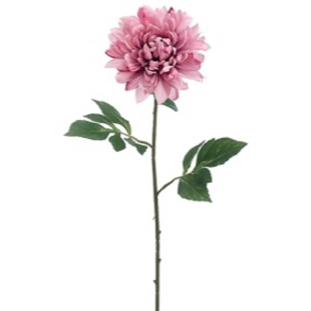 DAHLIA SPARY 27" PINK