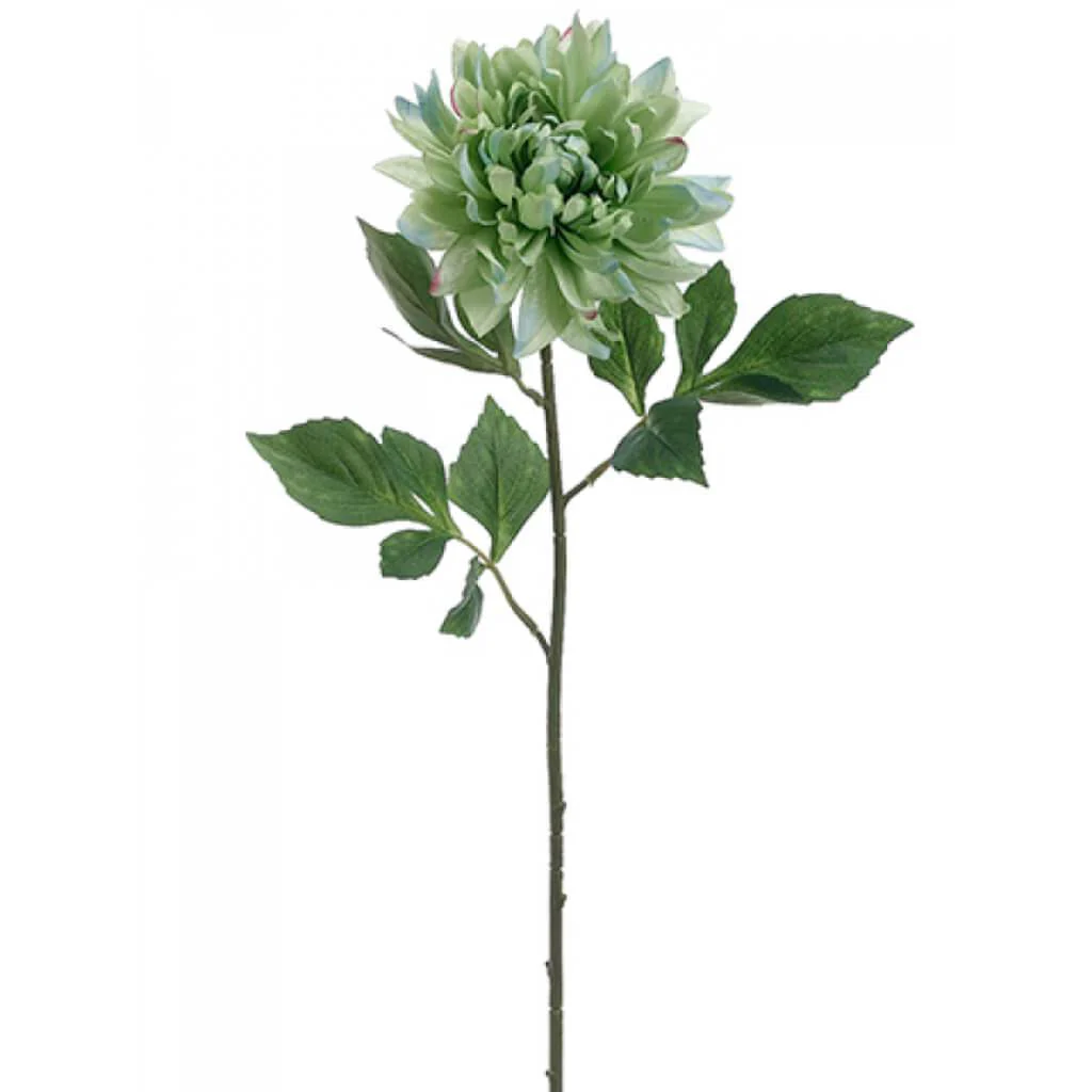 27"DAHLIA SPARY SF