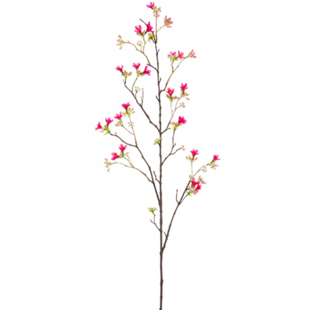 Heptacodium Spray 40in Rubrum
