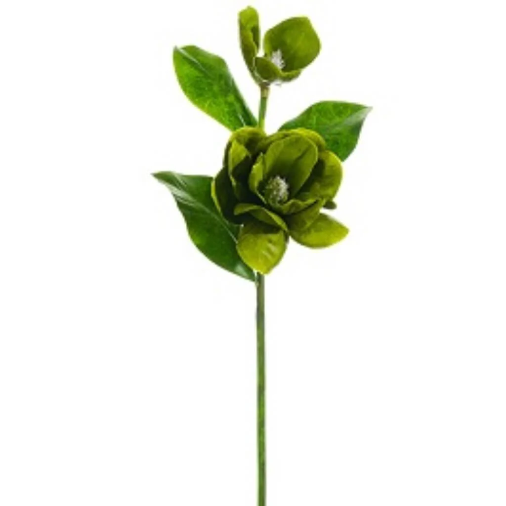 Magnolia Spray 31in