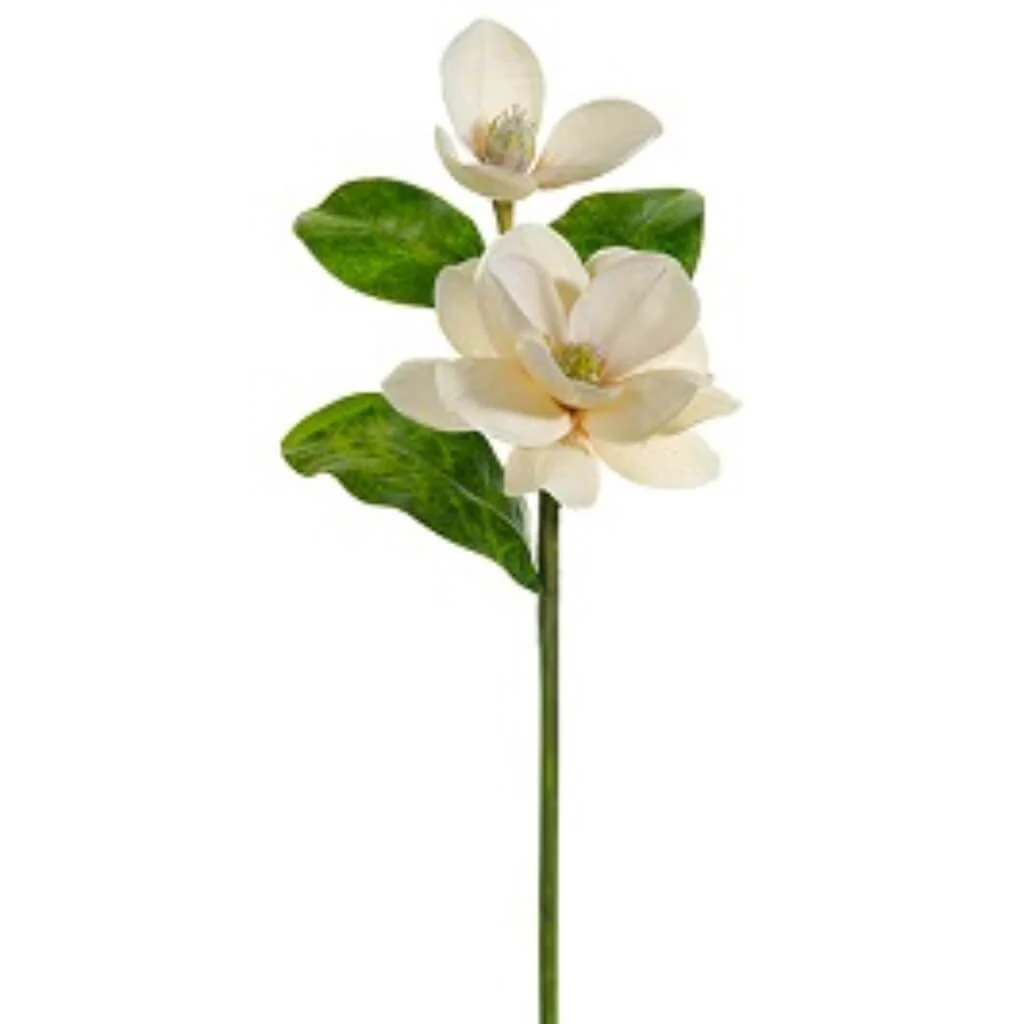 MAGNOLIA SPRAY 31" VANILLA
