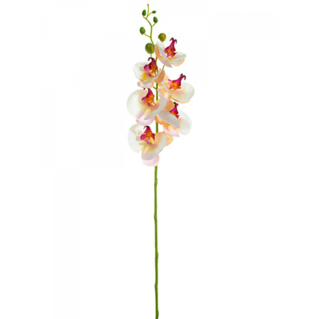 Phalaenopsis Orchid Spray 33in Pink Cream