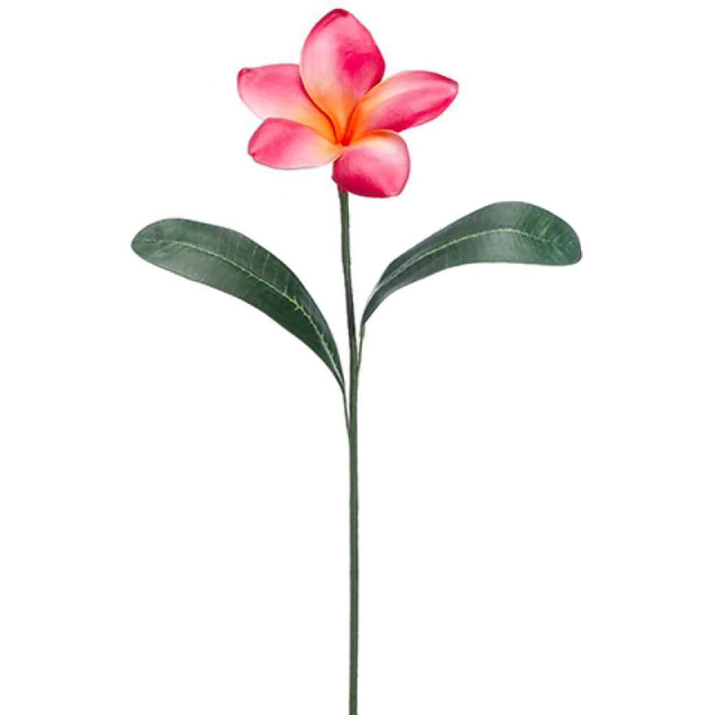 Plumeria Spray 30in Beauty