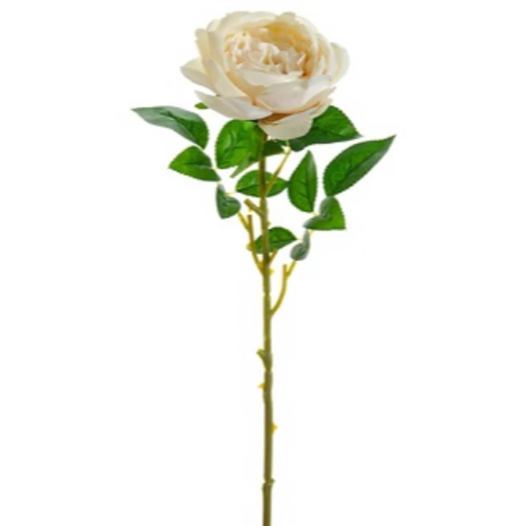 FRENCH ROSE SPRAY 26" VANILLA