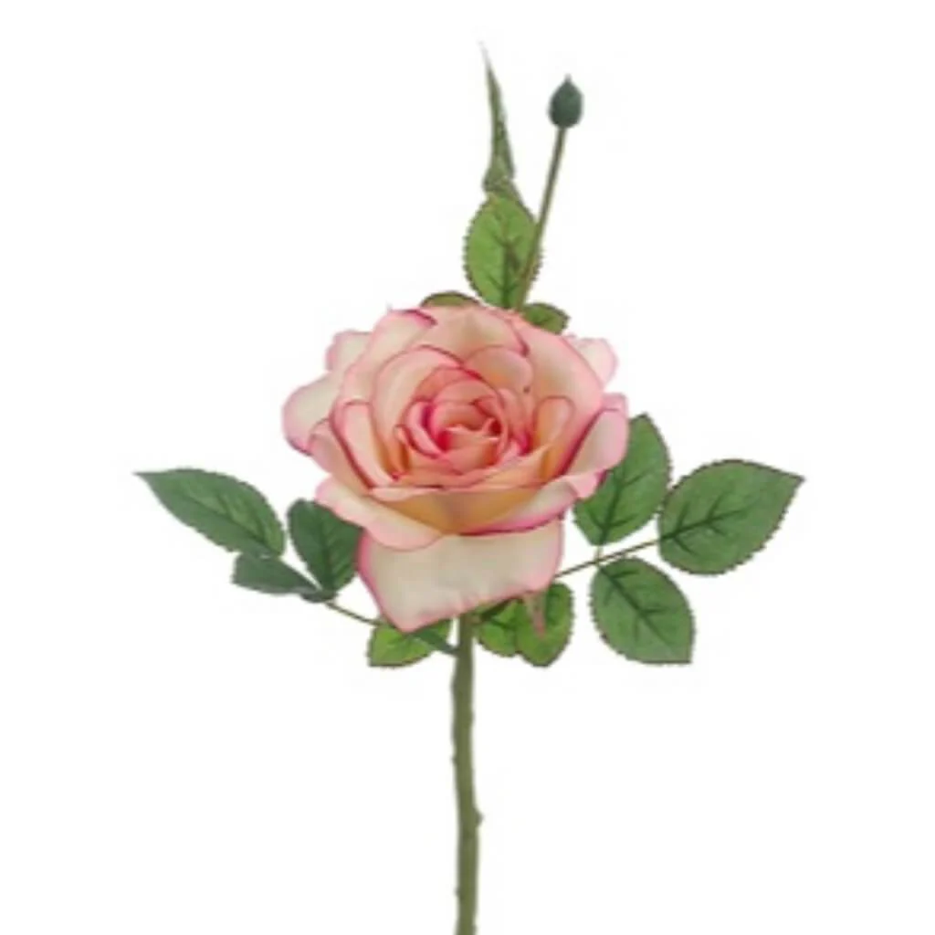 OPEN ROSE SPR.W/BUD 15.5" CERISE CREAM