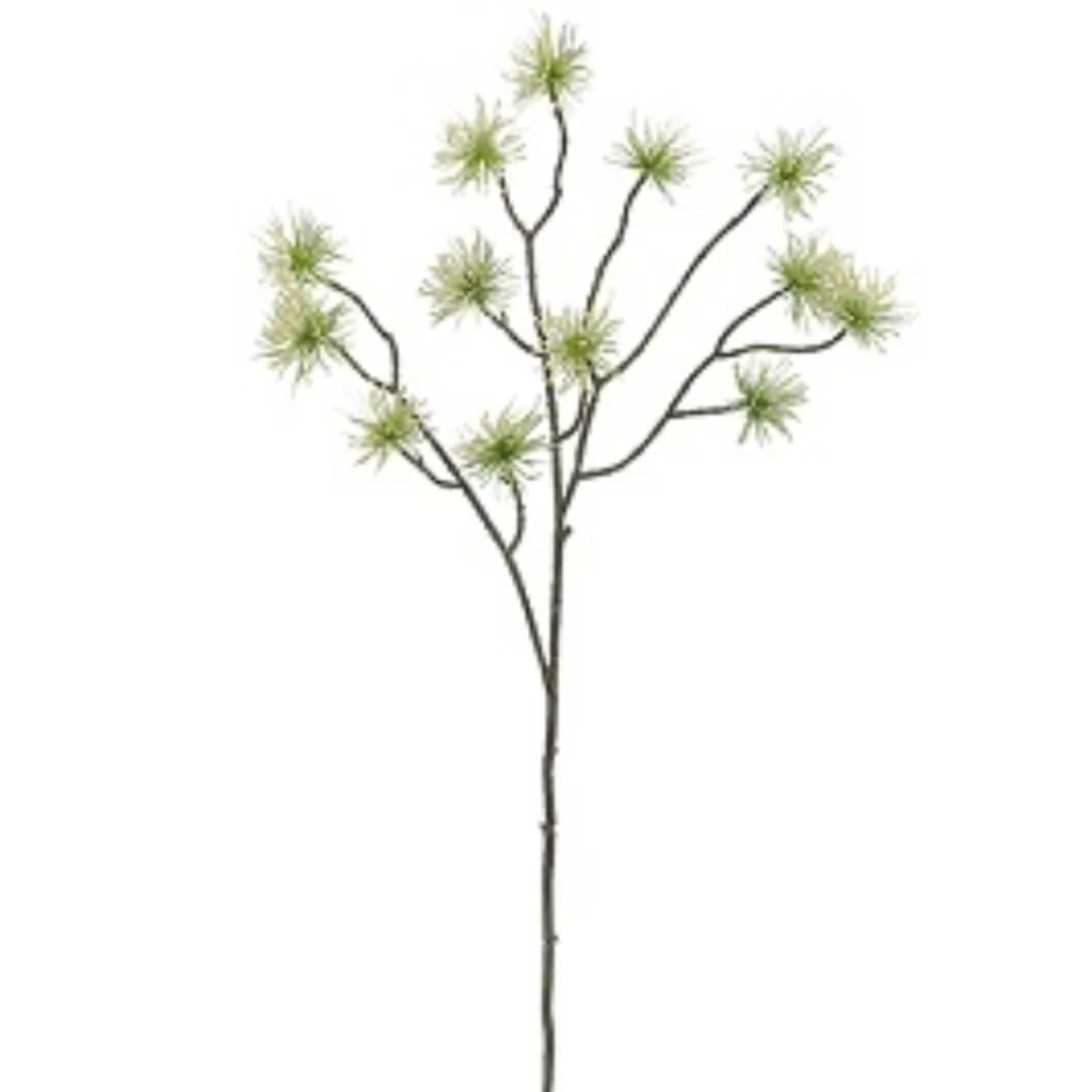 Witch Hazel Spray 28" Cream Green