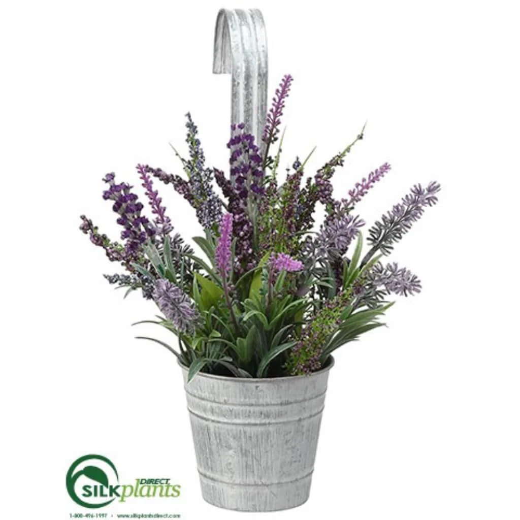 16in HANGING LAVENDER(P) PURPLE/LAVENDER