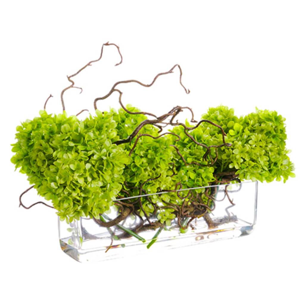 14inH x 13inW x 22inL Curly Willow with Cone Hydrangea in Glass Vase Lime